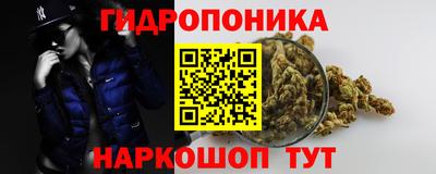 гидра Можайск