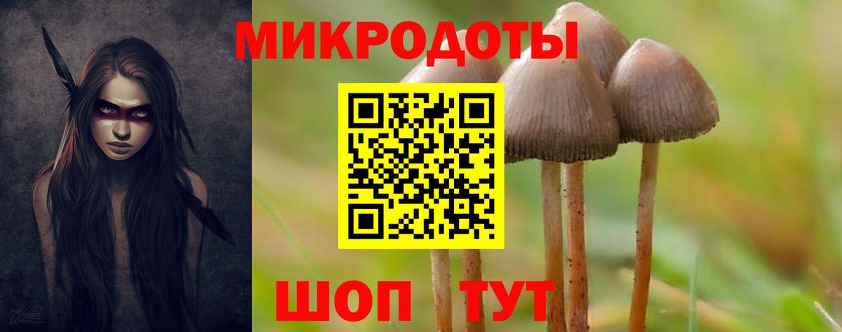 Псилоцибиновые грибы GOLDEN TEACHER  Вход с VPN  Серпухов  Псилоцибиновые грибы прущие грибы 